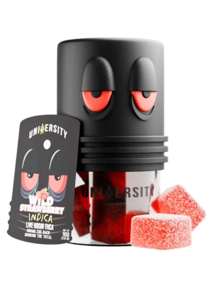 wild strawberry university thca live rosin gummies 10g